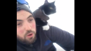 Dude Goes Sledding With His Daredevil Cat On Shoulder