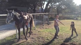 Horse Has Dancing Session with Two Girls