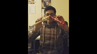Noses Have Talent — Musician Plays 'My Heart Will Go On' with 2 Recorders & Nostrils